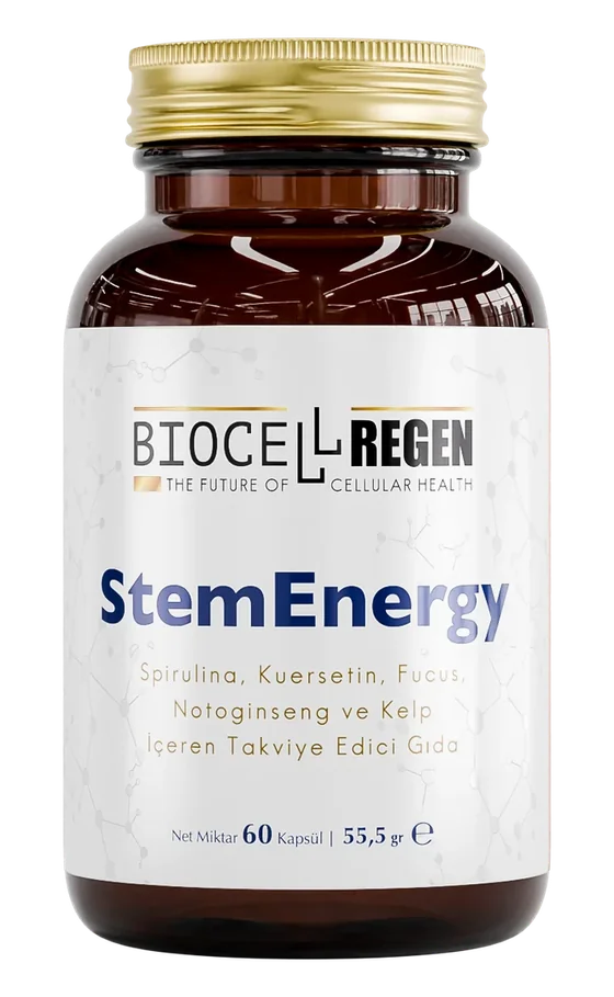 StemEnergy