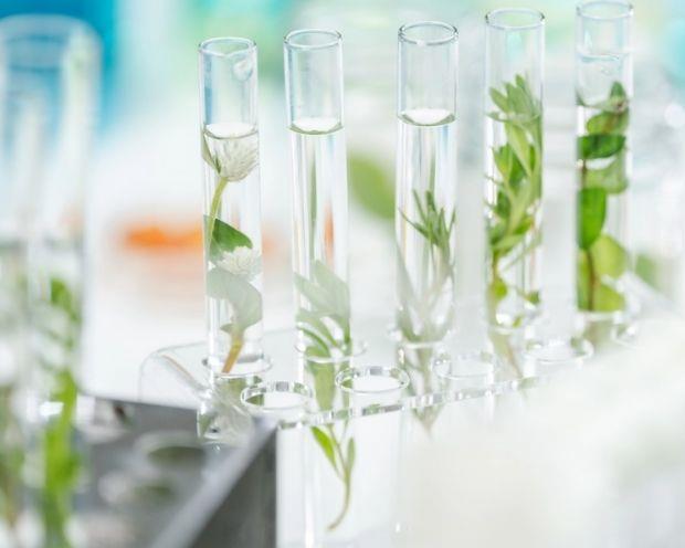 Hakkımızda görsel 1